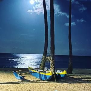 Meet your Posher, Robbie